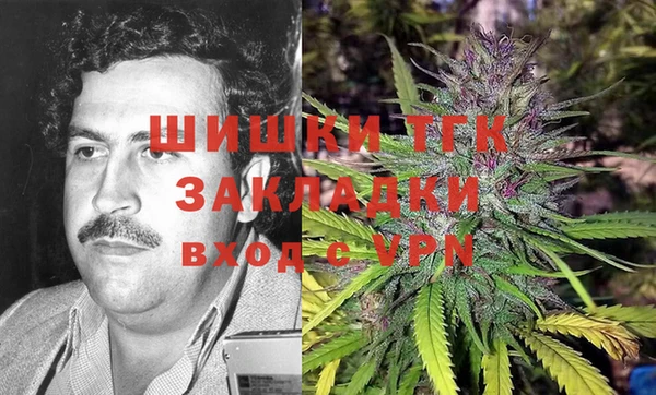 эйфоретик Верея
