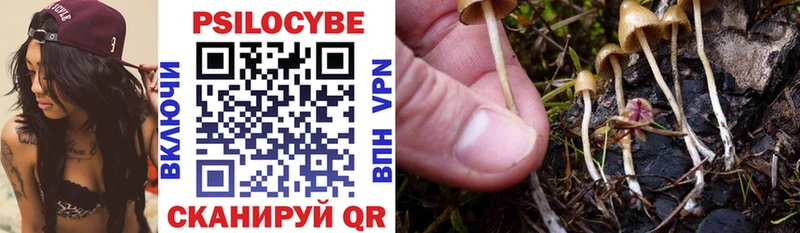 kraken ссылки  купить закладку  Кизел  Галлюциногенные грибы Psilocybine cubensis 